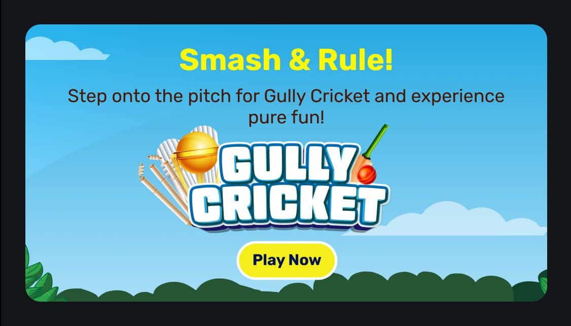 ECLP_HB_Gully_cricket_20JUN.png 3