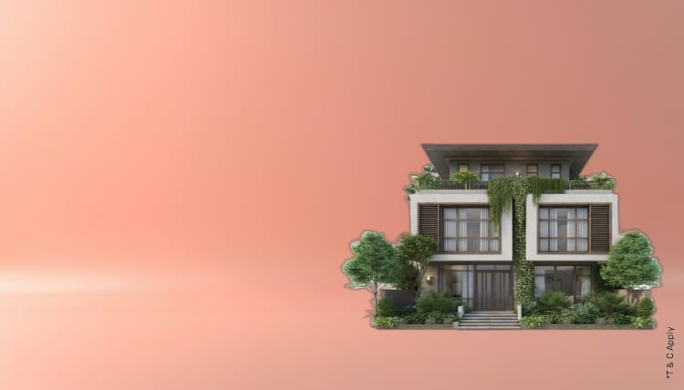 1762957869_6016513_mobile.jpg 1