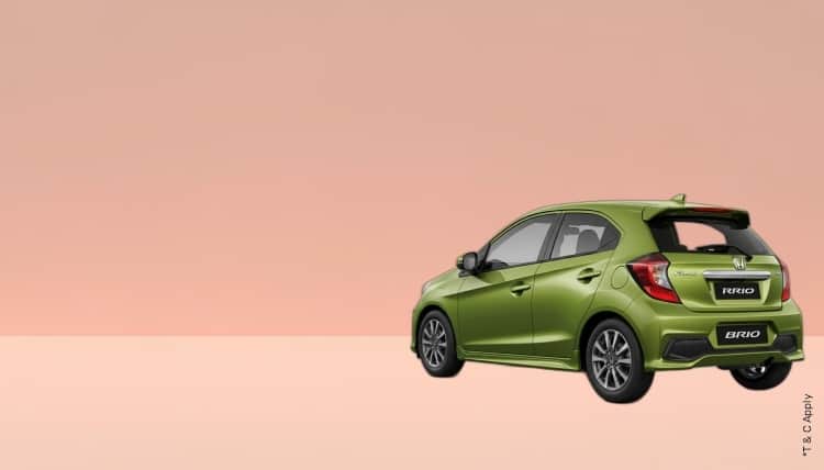 1763538851_6157896_mobile.jpg 8