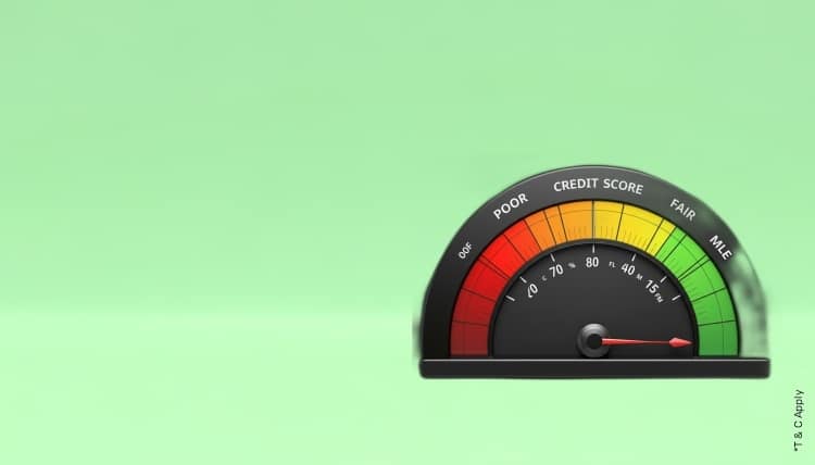 1763653125_6185619_mobile.jpg 10