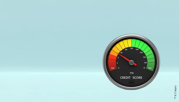 1765259413_6467719_mobile.jpg 10