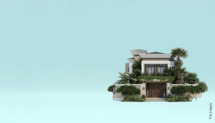 1765259486_6467782_mobile.jpg 1