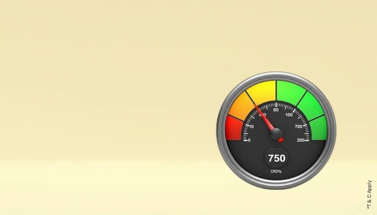 1765348823_6481496_mobile.jpg 10