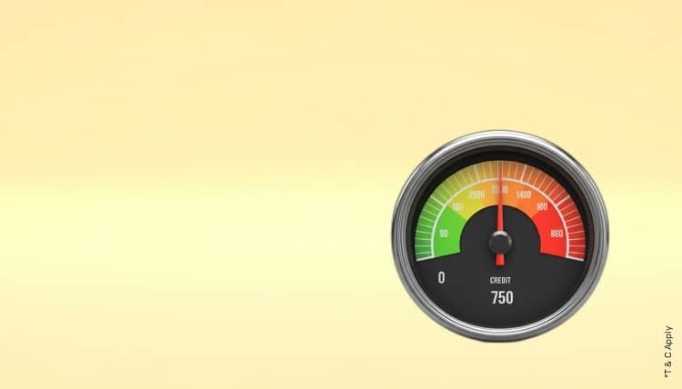 1765348828_6481500_mobile.jpg 11