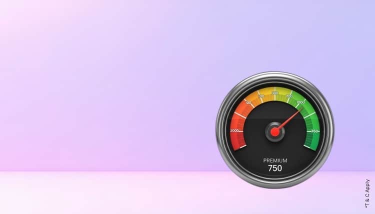 1765432397_6495487_mobile.jpg 10