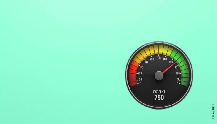 1765516808_6505610_mobile.jpg 10