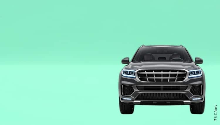 1765517910_6506436_mobile.jpg 2