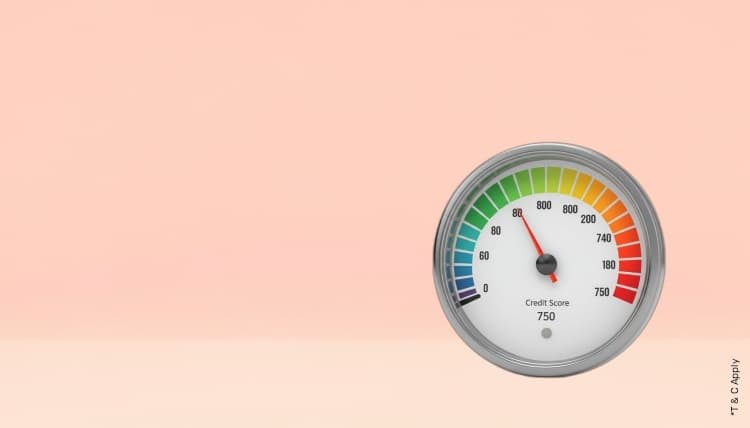 1766474399_6688291_mobile.jpg 11