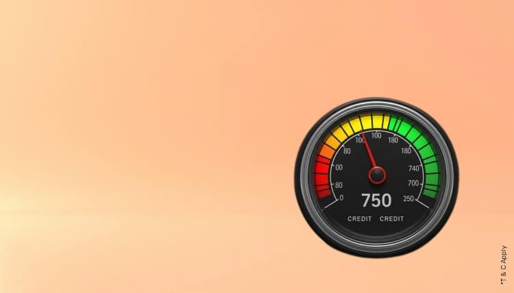 1766992458_6727183_mobile.jpg 10