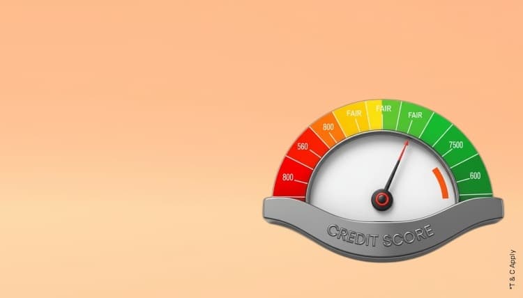 1766992535_6727267_mobile.jpg 10