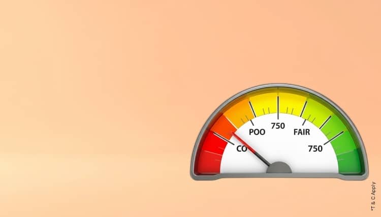 1767336221_6748012_mobile.jpg 10