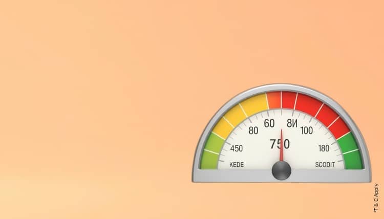 1767423213_6755888_mobile.jpg 9