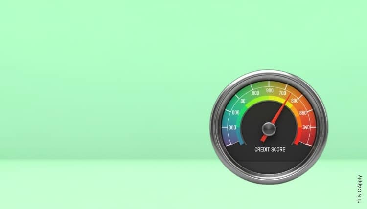 1768542794_6961077_mobile.jpg 7