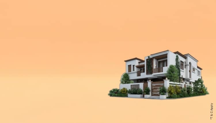 1768629673_6976314_mobile.jpg 1