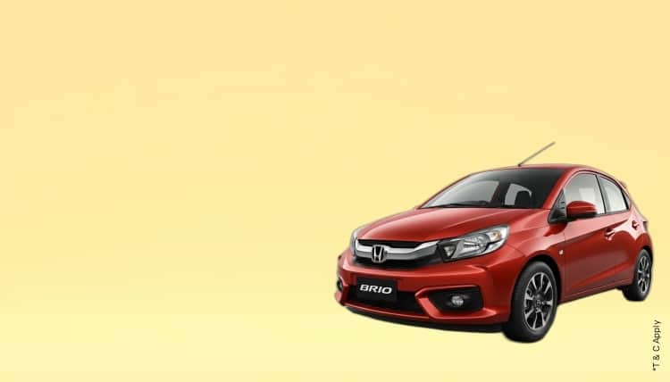 1768972746_7043807_mobile.jpg 8