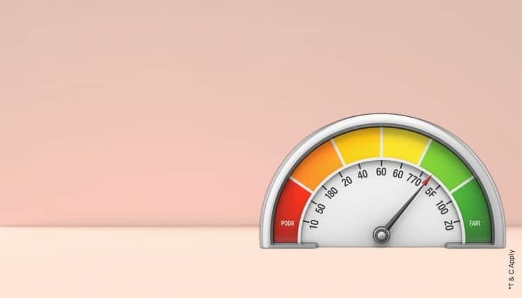 1769060621_7064089_mobile.jpg 8