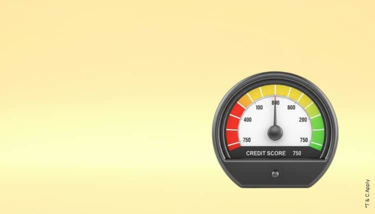 1769584417_7120159_mobile.jpg 7