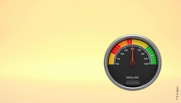 1769584494_7120273_mobile.jpg 8