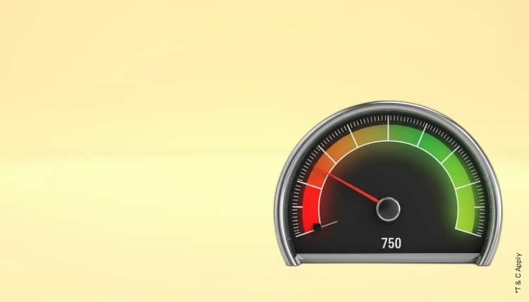 1769584497_7120277_mobile.jpg 9