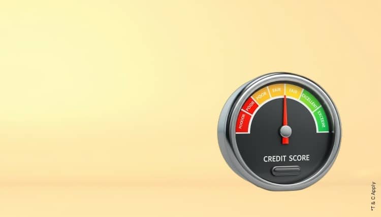 1769584545_7120335_mobile.jpg 9