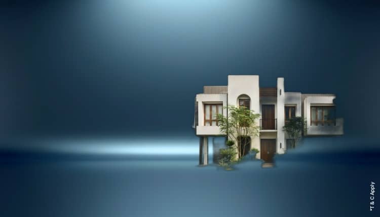 1771842317_7536113_mobile.jpg 1