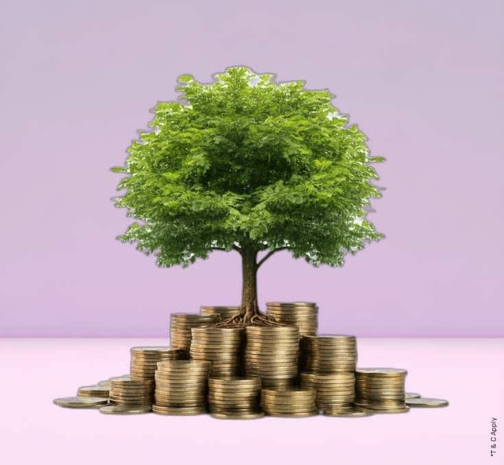 FD: Returns up to 8.85% p.a.