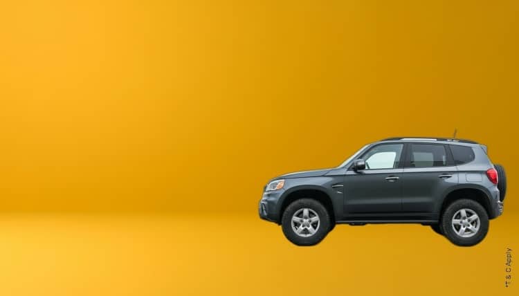 1772079827_7602645_mobile.jpg 5