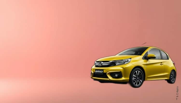 1773723239_7905247_mobile.jpg 8