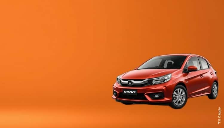 1773908331_7952033_mobile.jpg 9