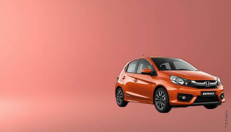 1774337936_8002579_mobile.jpg 8