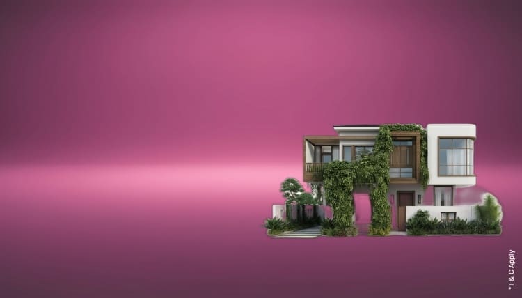 1774602612_8087134_mobile.jpg 1