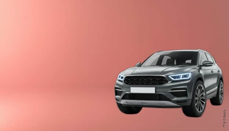 1774875813_8125566_mobile.jpg 4