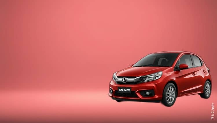 1774875824_8125584_mobile.jpg 8