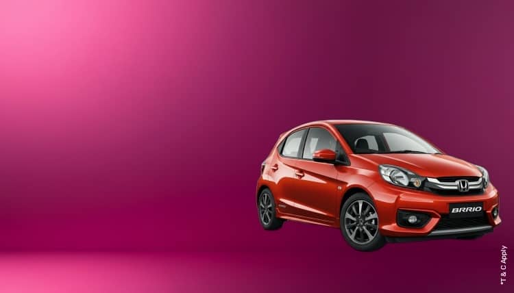 1775115838_8183663_mobile.jpg 8