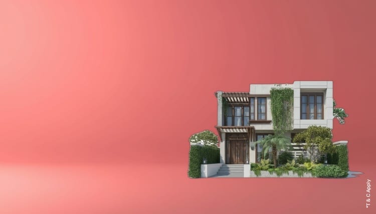 1775541916_8228965_mobile.jpg 1