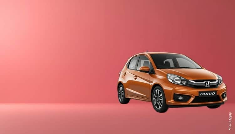 1775545532_8231837_mobile.jpg 8