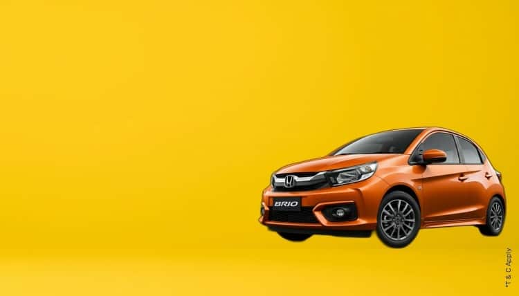 1775728128_8296761_mobile.jpg 8