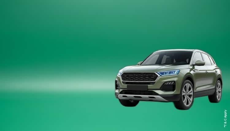 1776403146_8412515_mobile.jpg 1