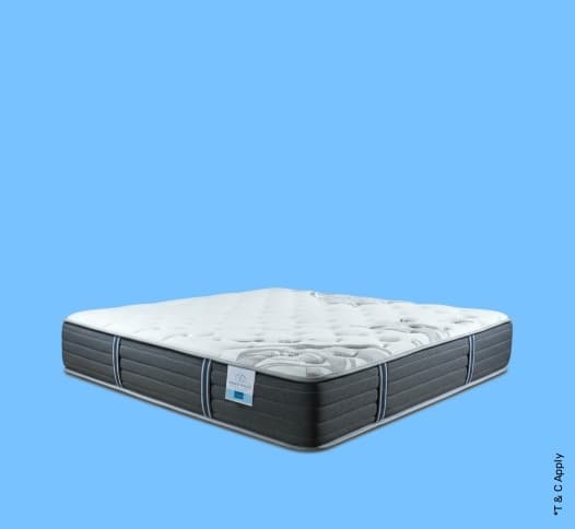 Springtek 6" ortho mattress