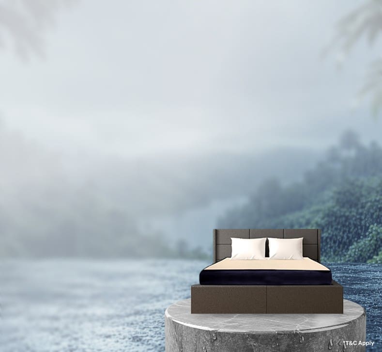 Springtek 6" ortho mattress