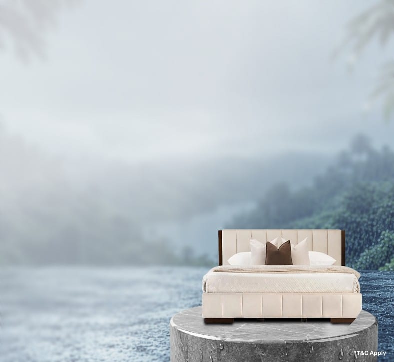 SpotlightDeals_Offer4_Fur_02072026.png