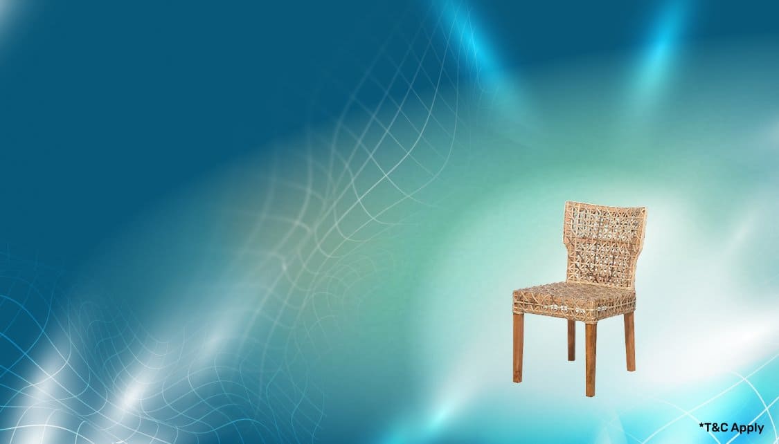 TopBanner_Offer2_Fur_App_12112025.png 2