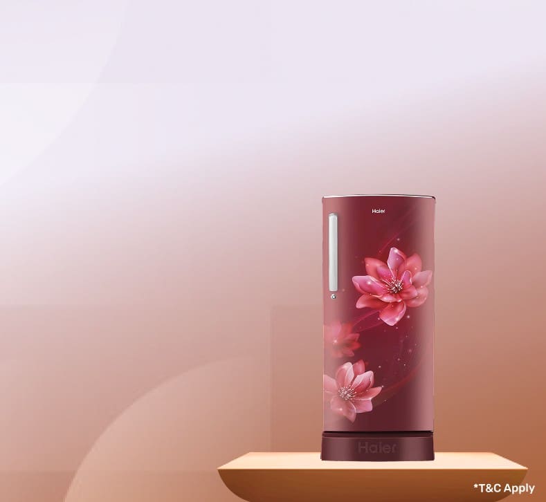 TrendingOne_Offer2_Festive_11082026.png