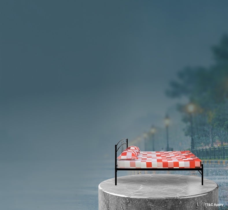 TrendingTwo_Offer3_Fur_02072026.png