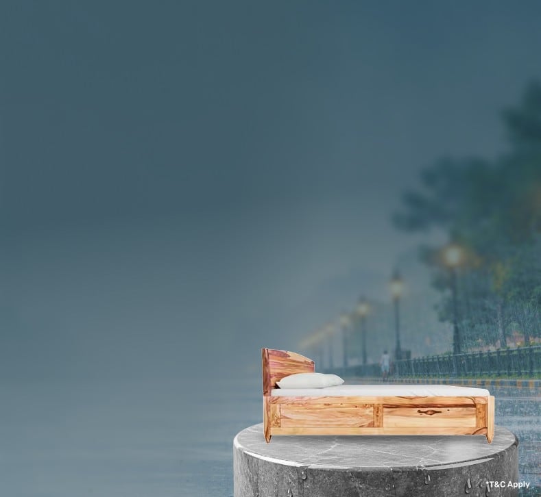 TrendingTwo_Offer4_Fur_02072026.png