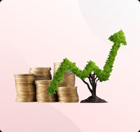 FD|Elevate Your Wealth with FD!