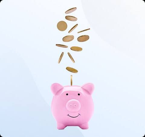 FD | Watch Your Savings Take Flight!